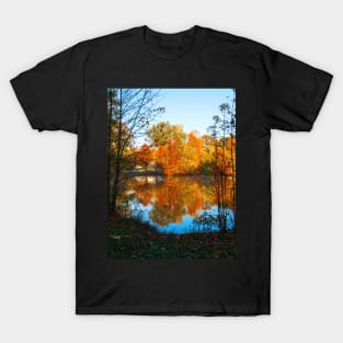 Framed Autumn T-Shirt